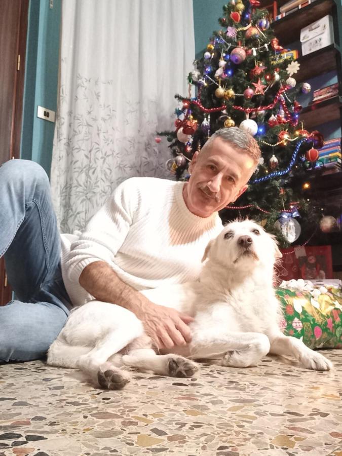 A Un Passo Da... B&B Elmas Zewnętrze zdjęcie